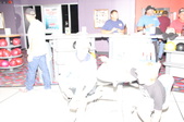 Enlarge photo 438