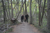 Enlarge photo 8