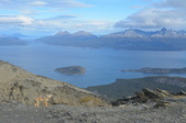 Enlarge photo 12