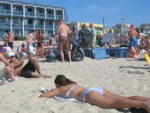 Enlarge photo 23