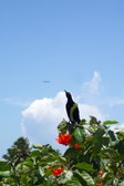 Enlarge photo 20