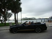 Cruise