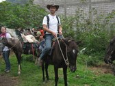 Enlarge photo 21