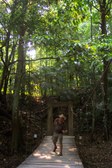 Enlarge photo 24