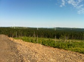 Enlarge photo 20