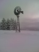 Enlarge photo 6