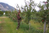 Enlarge photo 13