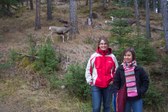Enlarge photo 18