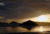 Tofino