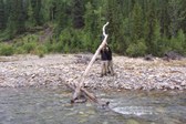 Enlarge photo 11