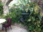 Enlarge photo 24