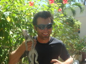 Enlarge photo 6