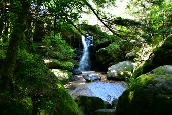 Enlarge photo 2