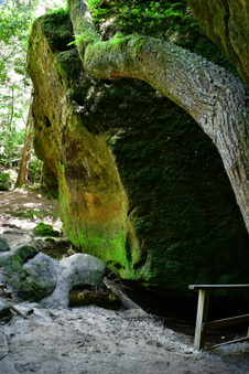 Enlarge photo 7