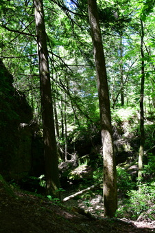 Enlarge photo 10