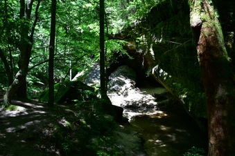 Enlarge photo 13