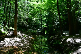 Enlarge photo 14