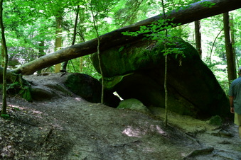 Enlarge photo 16