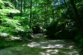 Enlarge photo 17
