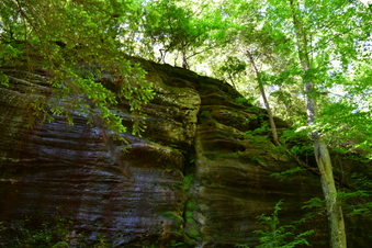 Enlarge photo 18