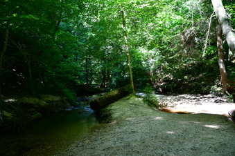Enlarge photo 20