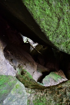 Enlarge photo 21
