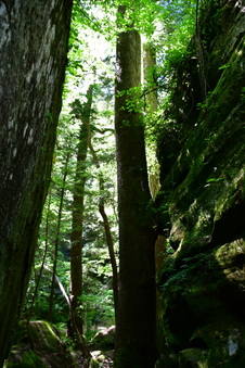 Enlarge photo 22