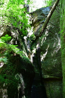 Enlarge photo 23