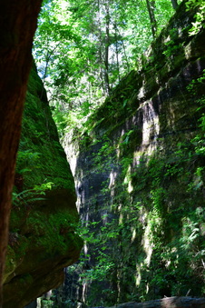 Enlarge photo 24