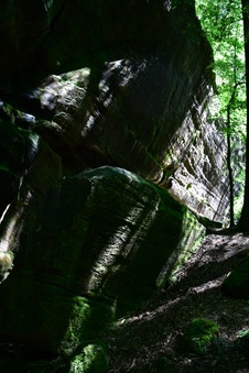 Enlarge photo 25