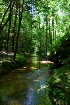 Enlarge photo 26