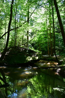 Enlarge photo 27