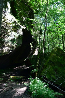 Enlarge photo 28
