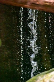 Enlarge photo 29