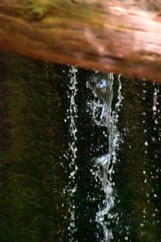 Enlarge photo 30