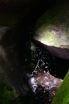 Enlarge photo 31