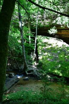 Enlarge photo 32