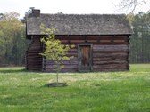 Enlarge photo 7