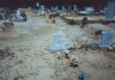 Springhill Cemetary