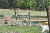 Enlarge photo 18