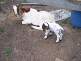 Enlarge photo 19
