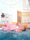 Enlarge photo 61