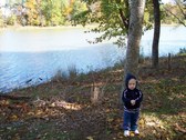 Enlarge photo 218