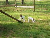 Enlarge photo 12