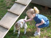 Enlarge photo 14