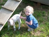 Enlarge photo 15