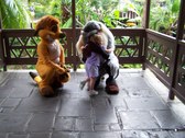 Enlarge photo 15