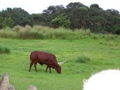 Enlarge photo 31