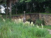 Enlarge photo 32