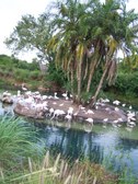 Enlarge photo 34
